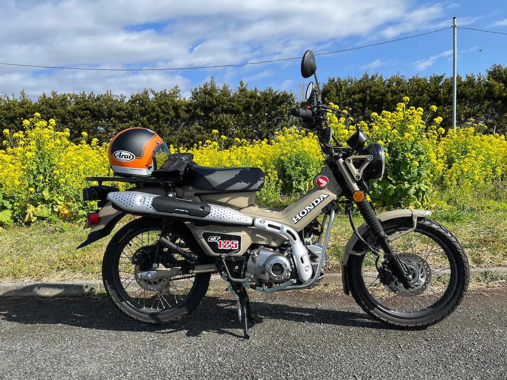 点検ってやっぱり大事！！～しばコラ～