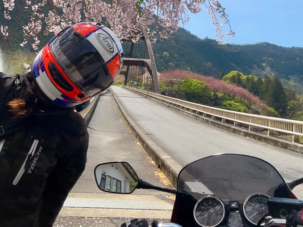 しばコラ〜桜の頃のこと〜