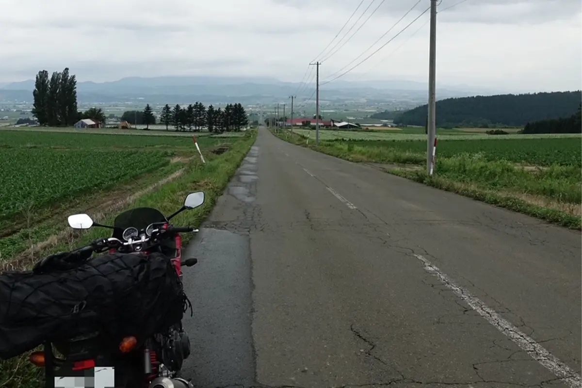 ジンギスカンからの帰り道