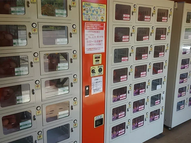 たくさんの卵がならぶ販売機